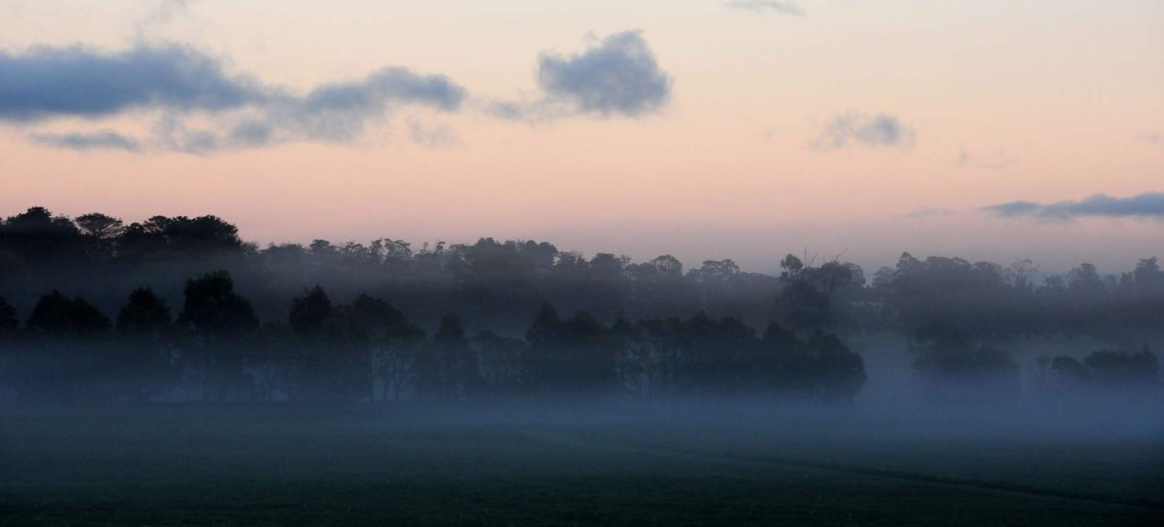 Misty field